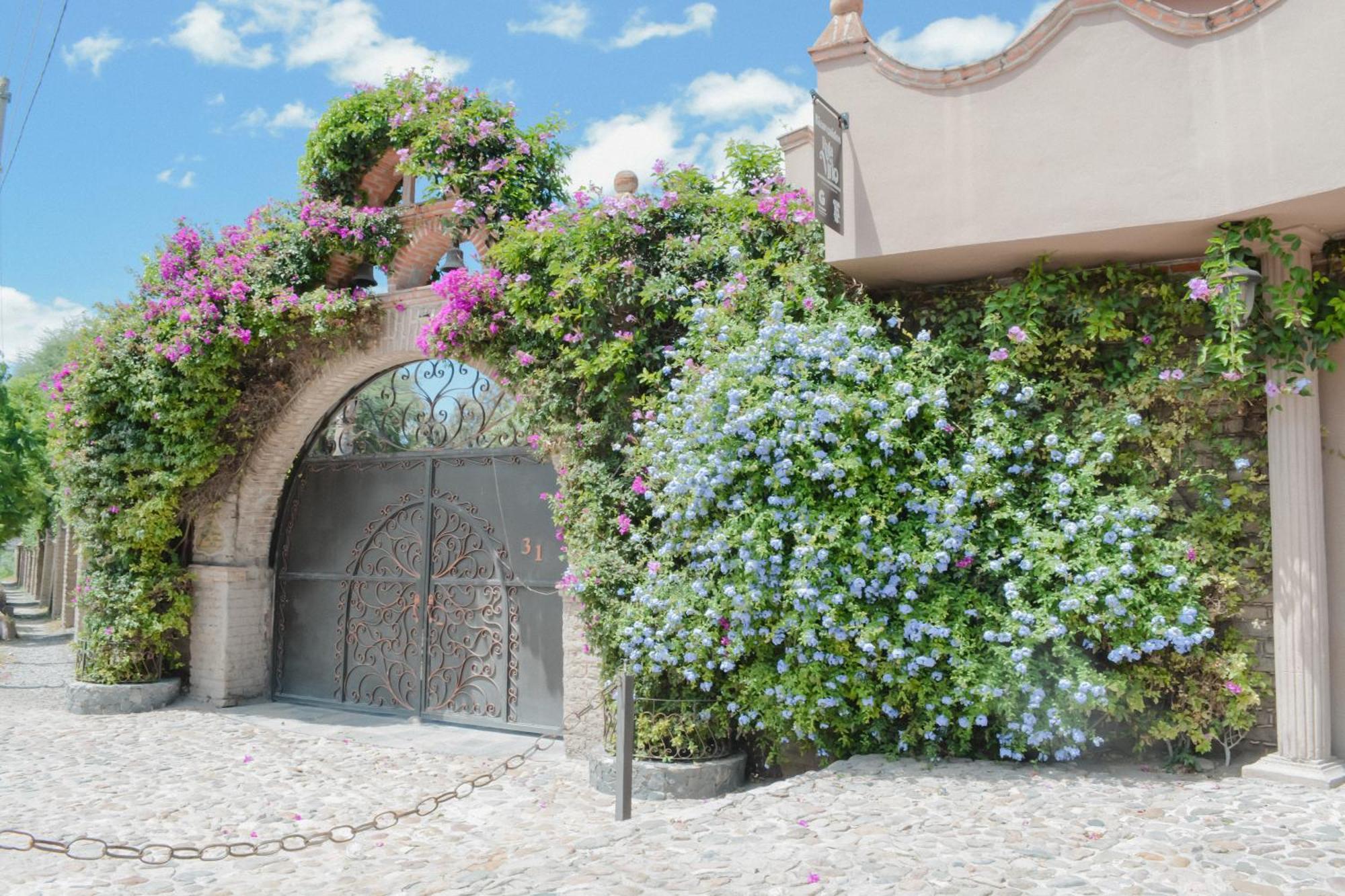 Casa Las Palmas, San Miguel De Allende Cieneguita Exterior foto